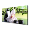 tulup.si Slika na platnu Bamboo orchid stones 120x60 cm