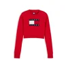 Tommy Jeans Pulover mornarska/rdeča/bela