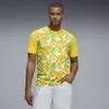 PUMA Neymar Jr. Brazil Passion Jersey Men, Clothing, White/Pelé Yellow/Green, XS