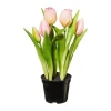 Veštačka Biljka Tulpe