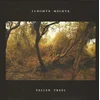 MELNYK, LUBOMYR - FALLEN TREES