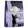 Wild Freedom Kitten Wild Hills – z raco - 2 kg