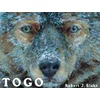 Robert J. Blake - Togo