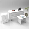 Hanah Home Kancelarijski set Beli