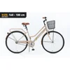 Xplorer City bike VIENNA Bež 28