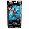 HASBRO MARVEL FIGURICA ANT-MAN IN OSA QUANTUMANIA AVISPA LEGENDS SERIES, (20839012)