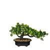 Bonsai drvo veštačko u saksiji 33x12x21cm edelman