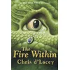 Last Dragon Chronicles: The Fire Within