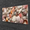tulup.si Slika na steklu Školjke sand art 100x50 cm 4 obešalnika