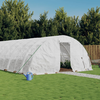 Staklenik s čeličnim okvirom bijeli 30 m2 6 x 5 x 2,3 m