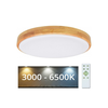 Brilagi - LED prigušiva plafonska svetiljka PINE LED/60W/230V + daljinski upravljač