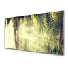 tulup.si Slika na steklu Palm tree forest narava 100x50 cm 4 obešalnika
