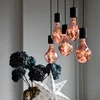 Calex Organic Evo LED svetilka E27 6W dim rosé