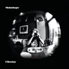 Skinshape - Filoxiny (Special Edition) (Limited Edition) (LP)