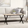 Noge za stolić za kavu s X-oblikom 70x30x43 cm čelik