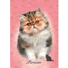 Puzzle Mini Box Persian Educa 100 delov od 6 leta