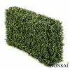 Pušpan umetna živa meja UV - zastirka 100cm