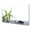 tulup.si Slika na steklu Leaf narava rastlinski stones 120x60 cm 2 obešalnika