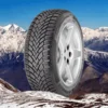 205/40 R17 CONTI. FR WINTERCONTACT TS 850 P 84 H XL (E) (B) (72)