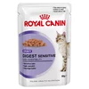 Royal Canin Digest Sensitive - omaka 85 g