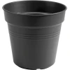 green basics lonec za gojenje poživljajoče črna
