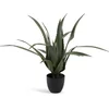 Veštačka biljka CELIUS V65cm aloe vera