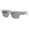 Ray-Ban RB4940 6876/1