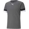 Puma Dres teamRISE Jersey