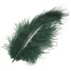 Knorr Prandell 216619479 Pero Dark Green 100 mm 15