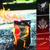 Joint D? - ???????/Intelligence (LP)
