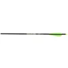 Carbon Express Bolt Carbon Piledriver