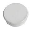 Dahle Magnet y24mm bel 6 kos
