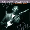 Muddy Waters - At Newport 1960 (Limited Edition) (Orange Coloured) (180 g) (LP)
