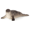 Mojo stožčasti tjulenj