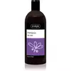 Ziaja Family Shampoo šampon za mastne lase (Lavender) 500 ml