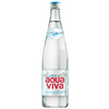 VODA AQUA VIVA NEGAZIRANA 0.75L NB