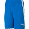 Puma Hlače obutev za trening modra 192 - 197 cm/XXL Spodenki Męskie Teamliga Niebieskie