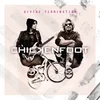Chickenfoot - Divine Termination (Limited Edition) (7)