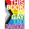 This Book Is Gay