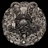 Petrels - Flailing Tomb (Limited Edition) (LP)