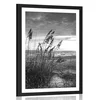 Plakat s paspartujem sončni zahod na plaži v črnobeli varianti - 40x60 no frame