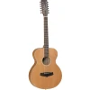 Tanglewood TW11-12 F OL Winterleaf akustična gitara