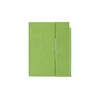 VELVET Notes sa magnetnim preklopom B6 - Lime