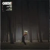 Geese - Projector (LP)