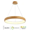LED viseća lampa F2081-86V WD