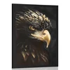 Plakat črno zlati orel - 20x30 white