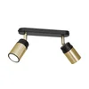 Stropno spot svetlo NEST 2xGU10/8W/230V crna/mesing