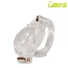 Brutus Doorman Chastity Cage Clear