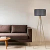 Opviq Podna lampa Fisco, 155 cm, E27, Zlatne boje