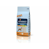 ADVANCE Hrana za odrasle pse Medium 18kg